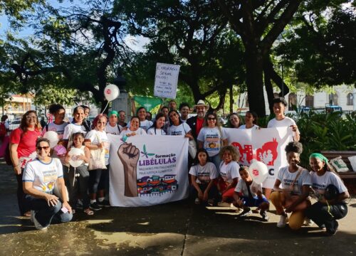 Somando vozes, Cendhec participa de agenda nacional e estadual de enfrentamento às violências sexuais contra crianças e adolescentes